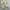 MP+ super wide cargo balloon pants photo 5