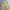 MP+ super wide cargo balloon pants photo 2