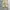 MP+ super wide cargo balloon pants photo 1