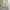 MP+ super wide cargo balloon pants photo 3