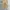 Jemut scone wide balloon pants beige photo 4