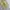 Jemut scone wide balloon pants beige photo 2