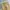Jemut scone wide balloon pants beige photo 3