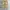 Jemut scone wide balloon pants beige photo 1
