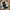 dr. martens 1461 pw black smooth photo 7