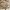 Beige Sweater XXL photo 5
