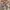 Beige Sweater XXL