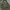 Jacket Parka Military Look Like M65 Size L