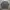 Soverment pigment dyieng heavy crewneck photo 2