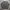 Soverment Pigment Dyieng Heavy Crewneck