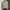 Soverment pigment dyieng heavy crewneck photo 1