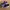 nike air max plus tn purple photo 1
