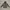 Outerwear Kids White Black