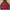 American eagle zipper hoodie vintage look maroon photo 2