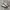 Adidas Samba OG White Grey photo 1