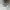 90s vintage piko bawaiian longboard wear heater grey photo 4