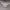 90s vintage piko bawaiian longboard wear heater grey photo 3