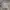 90s vintage piko bawaiian longboard wear heater grey photo 1