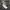 Adidas Streetwear Casual Casual shoe Pria white photo 2