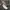 Adidas Streetwear Casual Casual Shoe Pria White