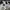 Nike SB Streetwear Casual Casual shoe Pria khaki photo 5