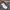 Nike SB Streetwear Casual Casual shoe Pria khaki photo 2