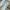 ZARA Grunge Skinny jeans Wanita blue photo 2
