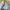 ZARA Grunge Skinny jeans Wanita blue photo 3