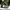 The North Face Streetwear Boots Wanita gray photo 2