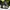 The North Face Streetwear Boots Wanita Gray