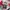 Streetwear Windbreaker Pria multicolor photo 4