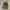 Billonaire boys club space helmet balaclava photo 4