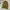 Billonaire boys club space helmet balaclava photo 3
