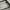 Enki woman sunglasses  photo 2