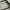 Enki Woman Sunglasses 