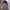 K2 Gorpcore Minimalist Track jacket Pria navy gray photo 3