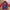 Napapijri Minimalist Track jacket Pria red photo 2