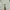 Ralph Lauren Straight White Long Pants photo 3
