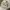 Vintage Avant Garde Casual trouser Wanita cream photo 3