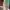 DRESS BRUKAT NO FURING LENGAN PUFF photo 3