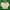 Polo Ralph Lauren Vintage Casual Hoody Pria white photo 1