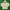 Polo Ralph Lauren Vintage Casual Hoody Pria white photo 2