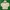 Polo Ralph Lauren Vintage Casual Hoody Pria White