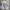 JORTS EMBA BIG POCKET  photo 2