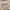 Fear of God ESSENTIALS Vintage Casual Hoody Pria brown photo 4