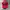 GOODGUYS MEMBER HAT RED photo 1