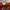 GOODGUYS MEMBER HAT RED