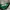 Fila Vintage Casual Track jacket Pria green white photo 3