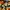 Nike air max alpha trainer 6 ori photo 1