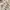 Vintage Casual Casual shirt Pria white photo 4